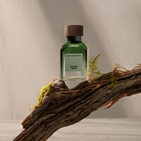 Vetiver Terra 200ml-206040 Vetiver Terra 200ml-206040 5
